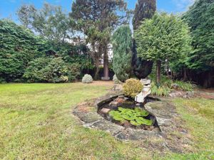 Photo 19- click for photo gallery